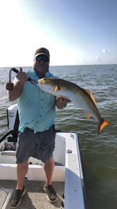 Reel in Redfish memories on Galveston's shores.